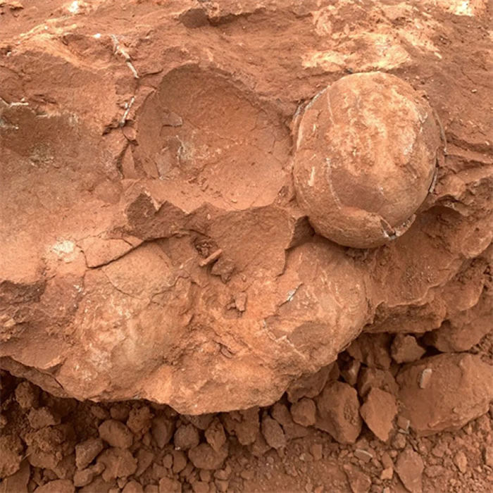 ����ʡ�Ž��������ط���һ����������ʯ��