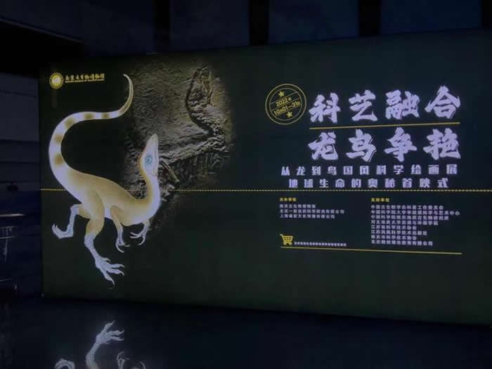 南京古生物博物馆：冷冰冰的化石可以和中国画碰撞出火花