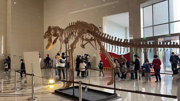 �����ӽ����Ļ��������ľٰ��������չ