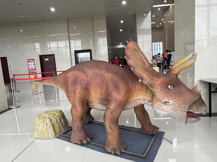 �����ӽ����Ļ��������ľٰ��������չ