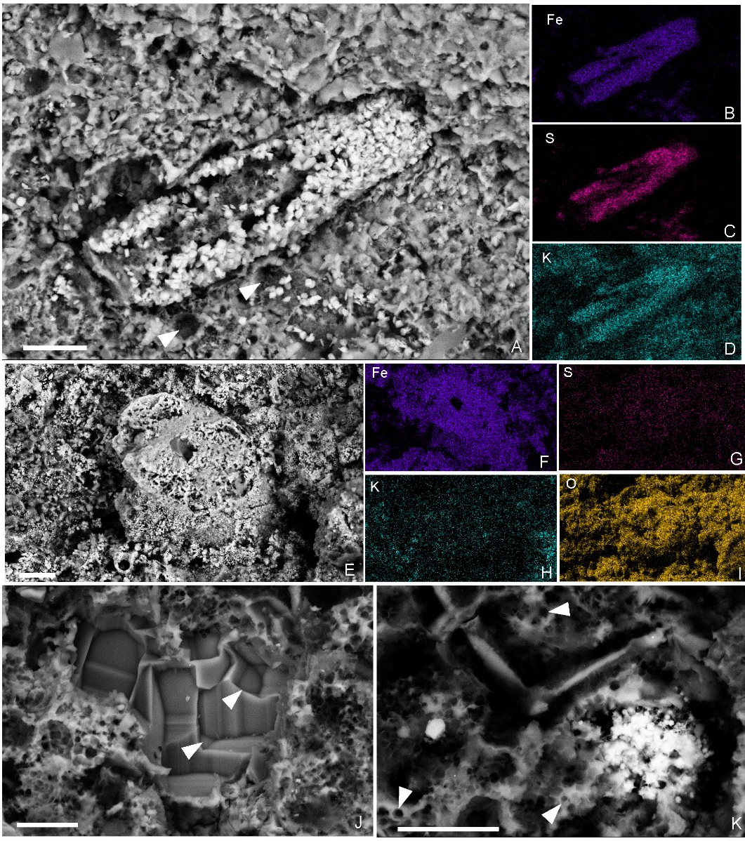 《地质学会会刊》:研究揭示安吉生物群特异保存海绵化石的埋藏学机制