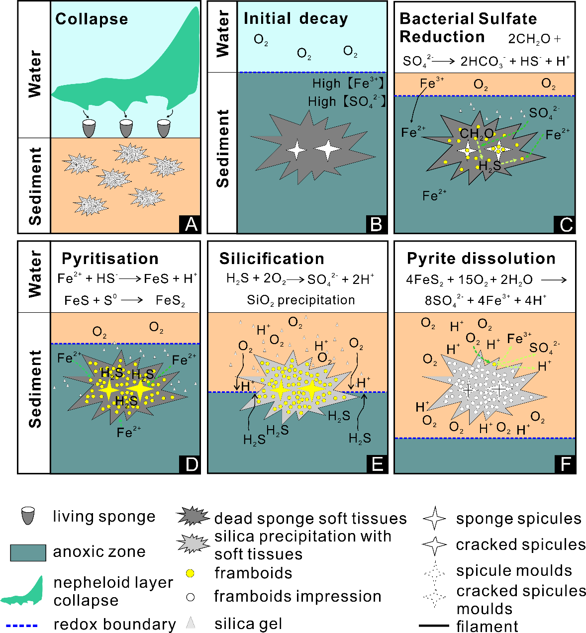 《地质学会会刊》:研究揭示安吉生物群特异保存海绵化石的埋藏学机制