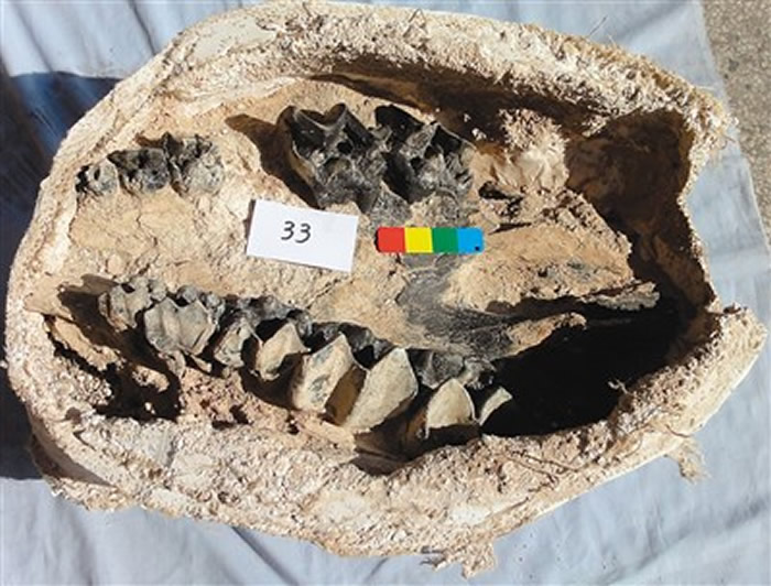 ���������ҵ��ʹ�԰�����׺�ɣ��Ĺ���