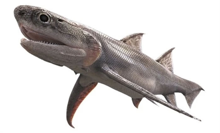 ����ϵ���������ݻ�ʯ��¼����˫��ǭ����