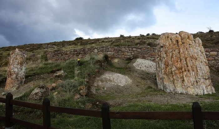 ������������Ų���¼������ϣ��ʯ��ɭ�ּ���ɽ����ѡ