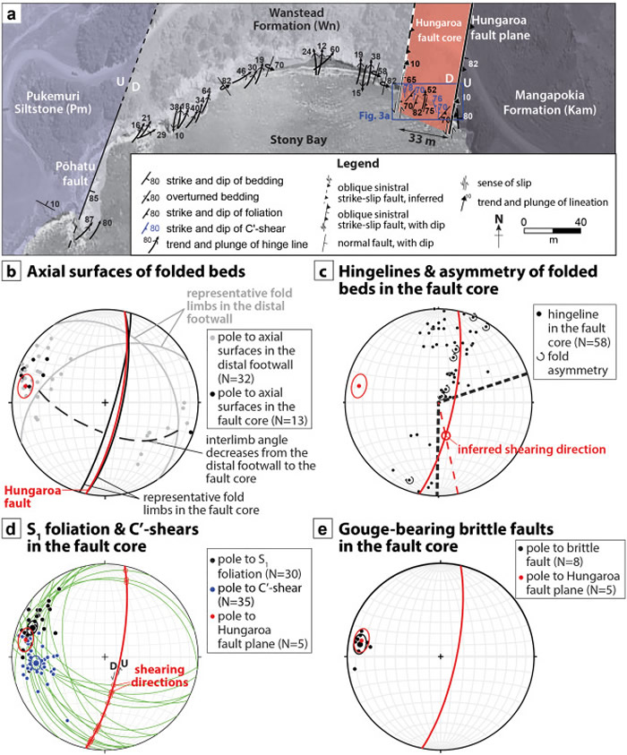 微小海洋生物的化石可能影响下一次大地震的规模