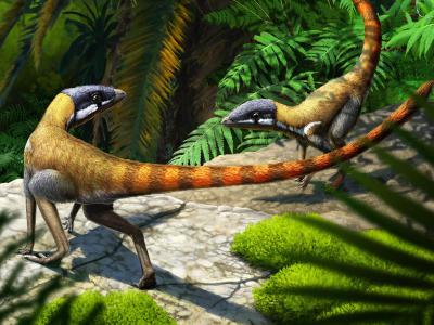 苏格兰发现的三叠纪化石中发现翼龙的早期亲属