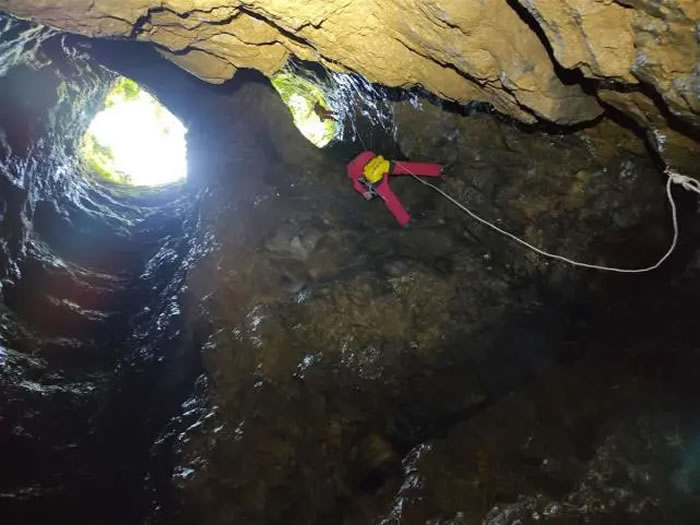 ����������ɽ�ض�Ѩ���ִ���è������ʯ