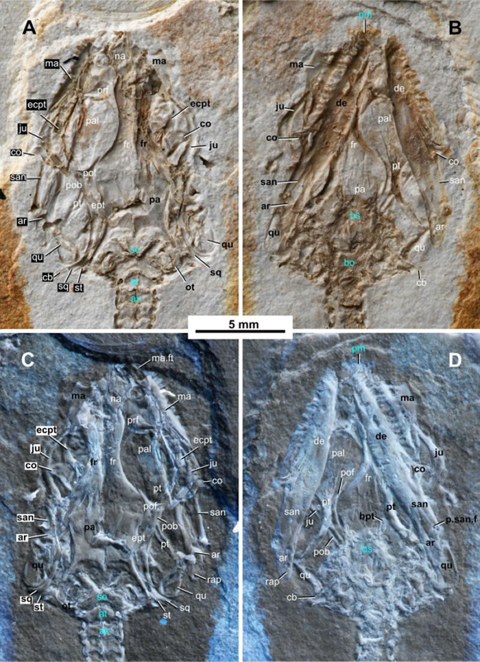 Ī�춯��Ⱥ��һ���������Ա��������Ī����