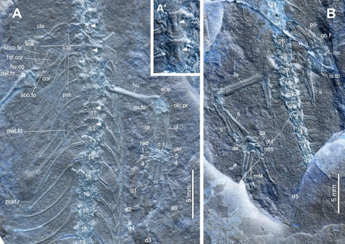 Ī�춯��Ⱥ��һ���������Ա��������Ī����