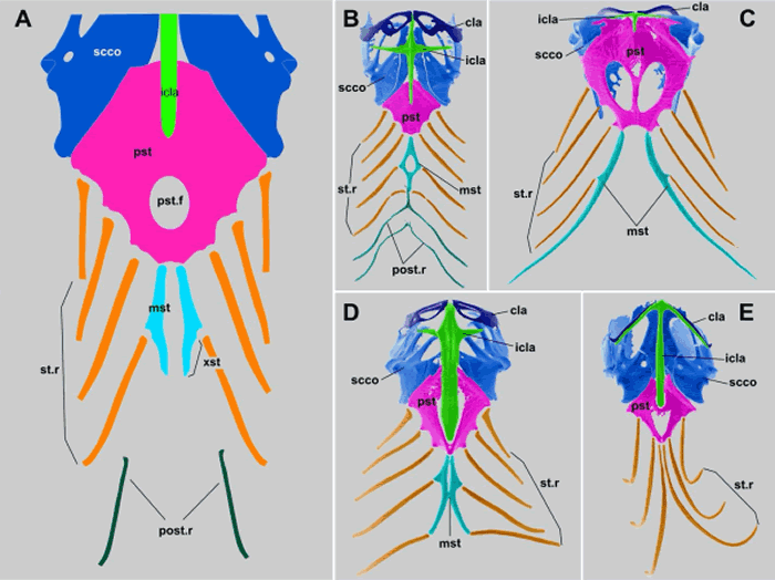 Ī�춯��Ⱥ��һ���������Ա��������Ī����