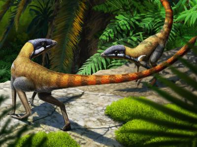 苏格兰发现的2.3亿年前神秘化石揭示了翼龙的起源