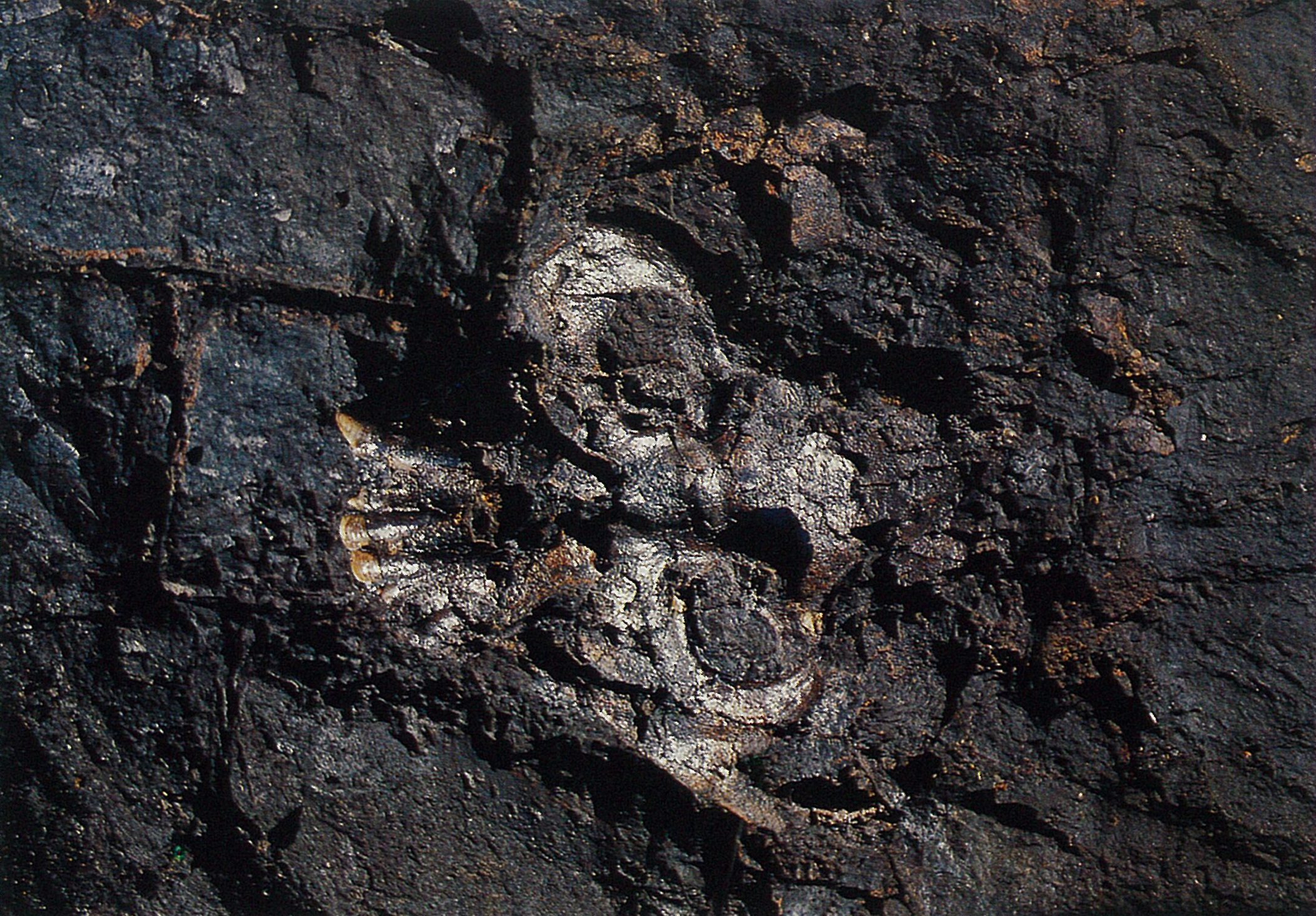 »���ԳPA644­�ǳ����龰�����ԡ�»���Գ�����˿����ڳ�Ա����