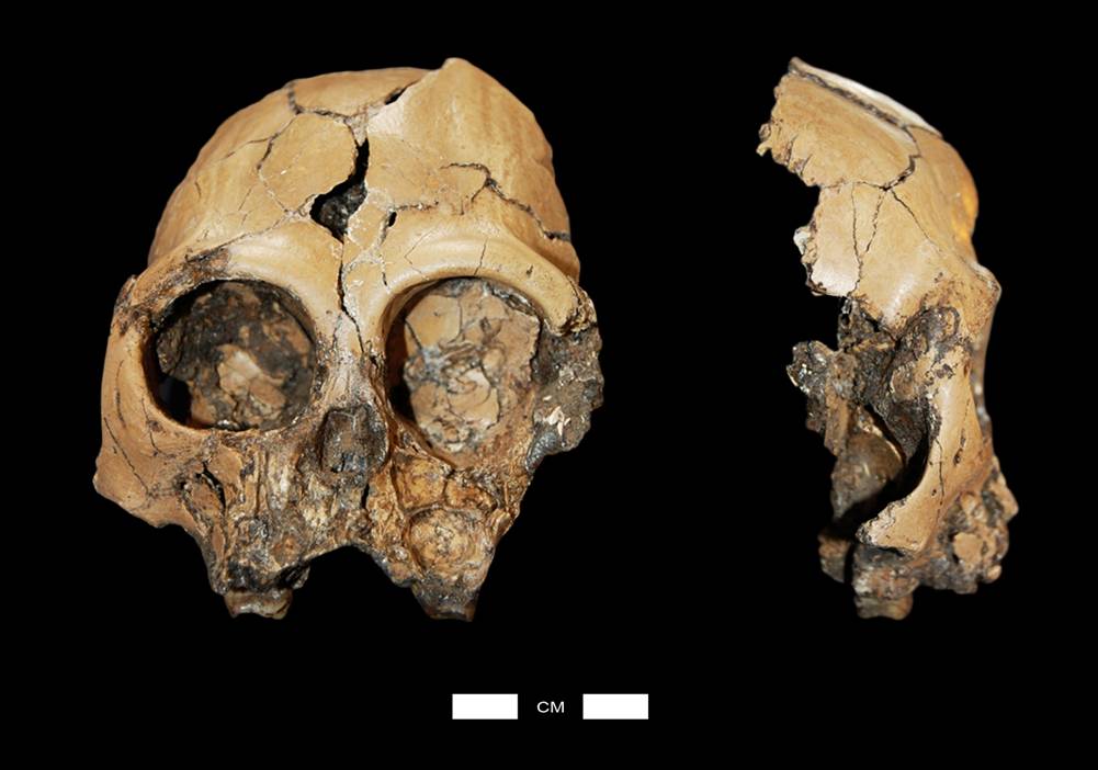 �޸������ͨ��Գͷ��