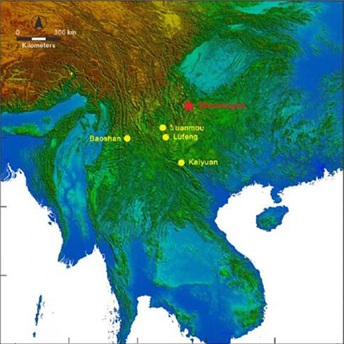 ������������Գ�ķֲ��������Ŵ�ϼ������ ��