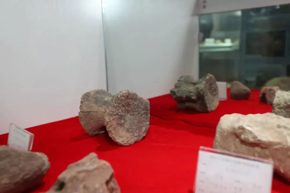 ����ʡ�����йٶ�����վСѧ���ƶ˿��յ�ѧ�ݾ�Ҫ������