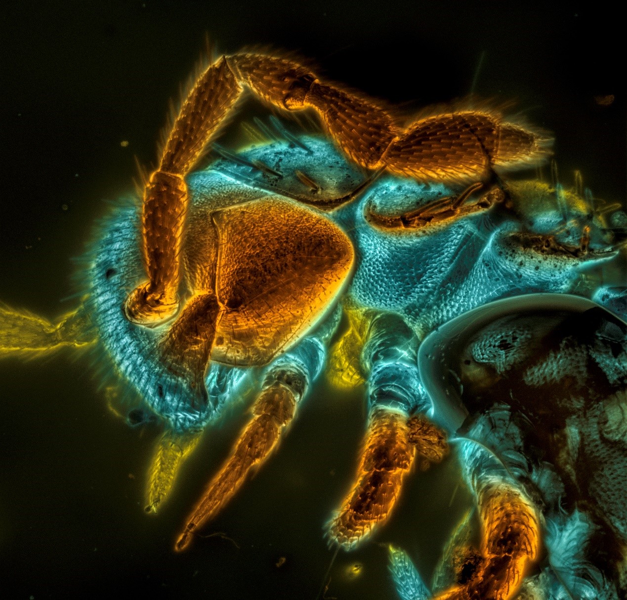 �Ͼ�����������Ʒ���й���ѧԺ���Ľ조���ֿ�ѧ֮����ͼƬ������