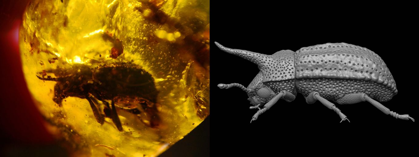 �Ͼ�����������Ʒ���й���ѧԺ���Ľ조���ֿ�ѧ֮����ͼƬ������