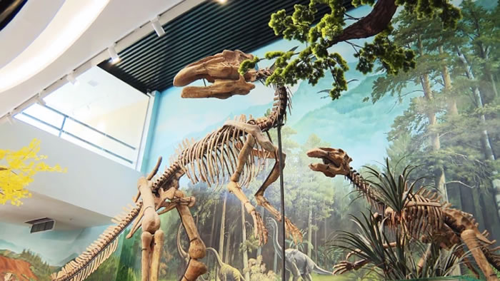 广东南雄恐龙地质科普中心将于2023年元旦对外试营业