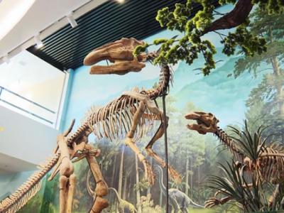 广东南雄恐龙地质科普中心将于2023年元旦对外试营业