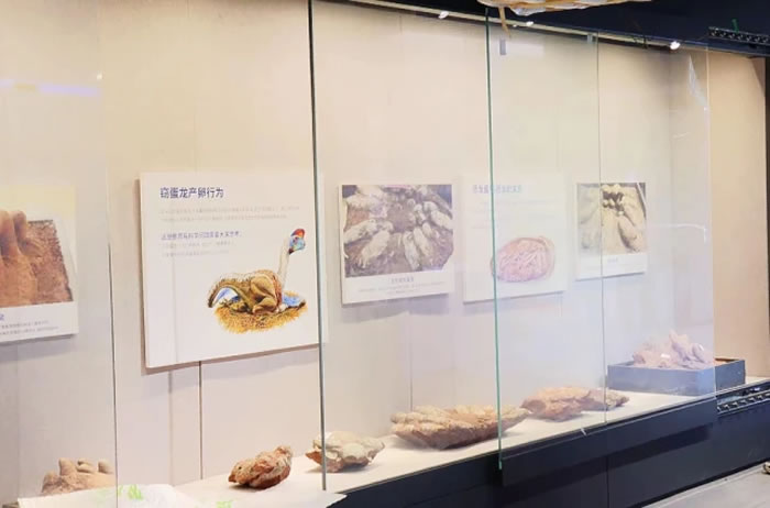 �㶫���ۿ������ʿ������Ľ���2023��Ԫ��������Ӫҵ