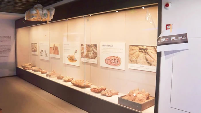 �㶫���ۿ������ʿ������Ľ���2023��Ԫ��������Ӫҵ