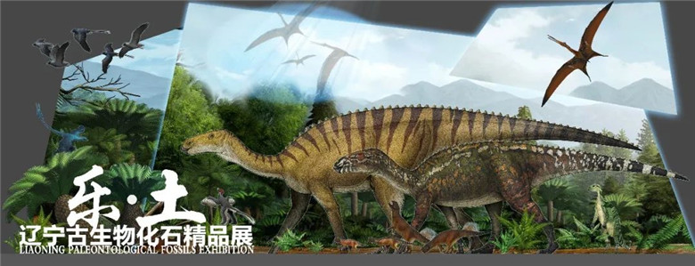 ����ʡ����ݽ�����һ��Զ���������Ӿ�ʢ�硰�֡����������������ﻯʯ��Ʒչ��