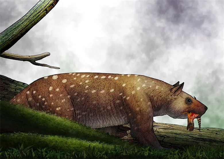 ����ʡ����ݽ�����һ��Զ���������Ӿ�ʢ�硰�֡����������������ﻯʯ��Ʒչ��