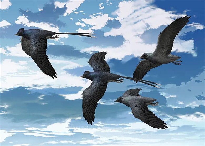 ����ʡ����ݽ�����һ��Զ���������Ӿ�ʢ�硰�֡����������������ﻯʯ��Ʒչ��