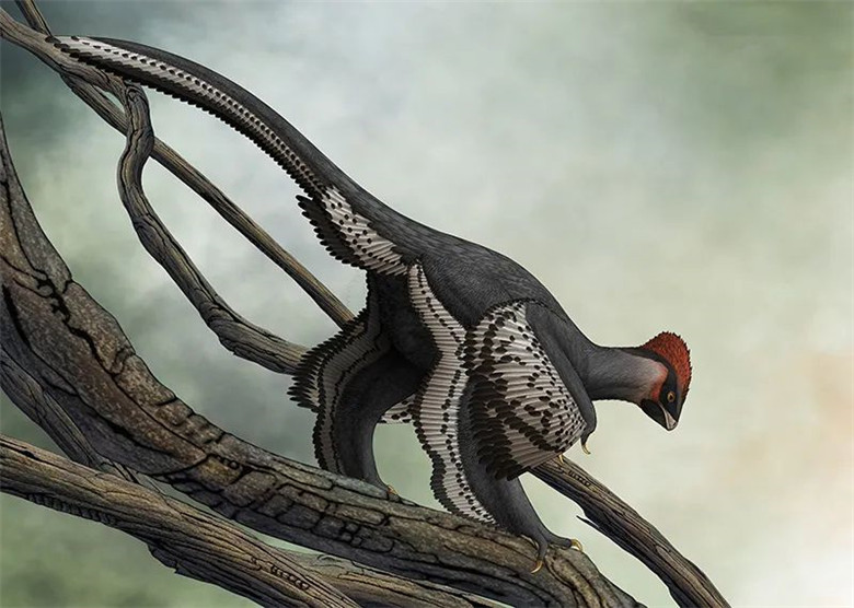 ����ʡ����ݽ�����һ��Զ���������Ӿ�ʢ�硰�֡����������������ﻯʯ��Ʒչ��