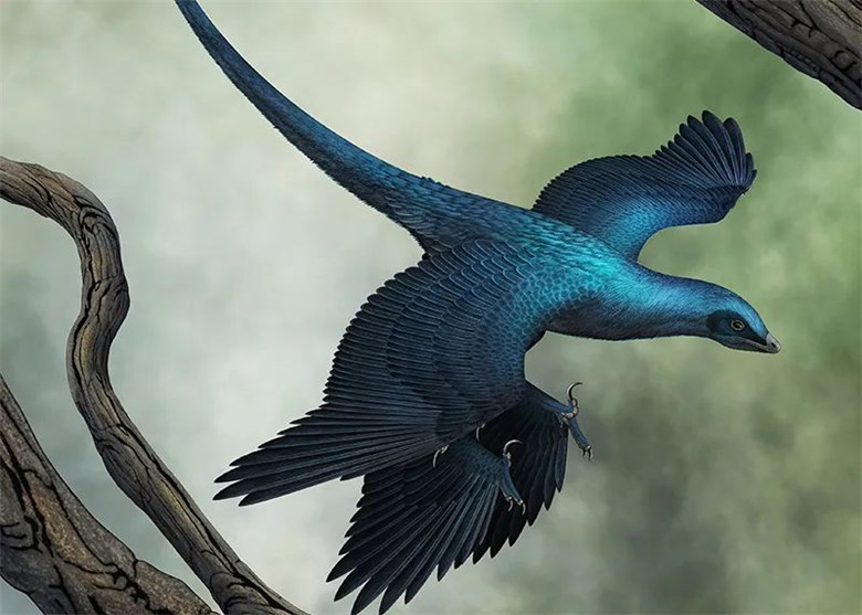 ����ʡ����ݽ�����һ��Զ���������Ӿ�ʢ�硰�֡����������������ﻯʯ��Ʒչ��