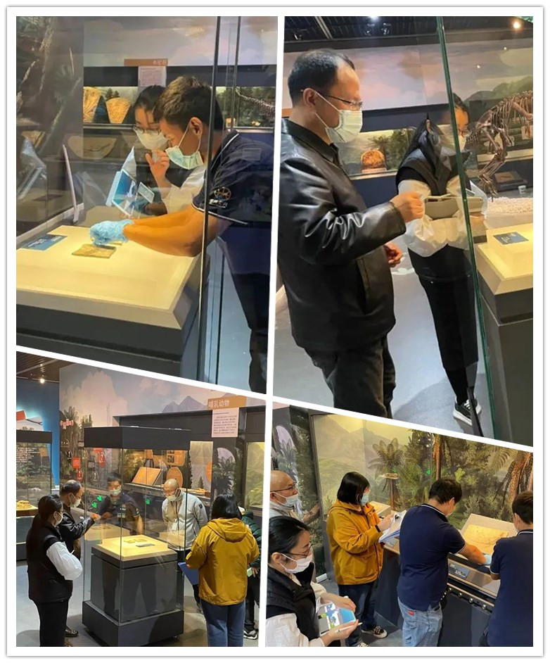 ����ʡ����ݽ�����һ��Զ���������Ӿ�ʢ�硰�֡����������������ﻯʯ��Ʒչ��