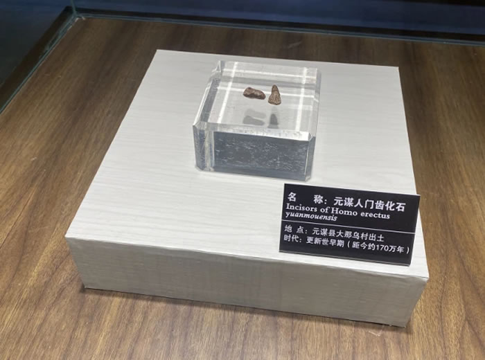 走近元谋人 追寻“人类起源”的足迹