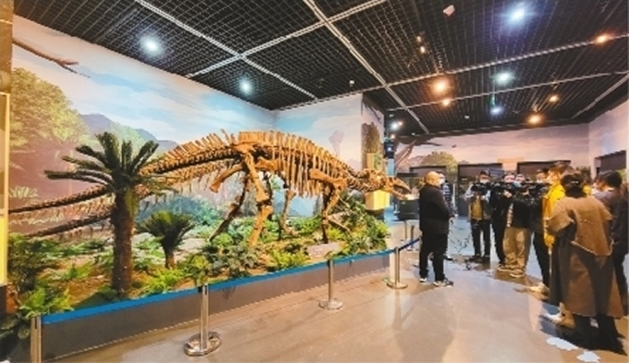 有着庞大身躯的恐龙是“乐·土”展的绝对主角。本文图片由记者吴限摄