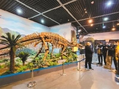 辽宁省博物馆举办“乐·土——辽宁古生物化石精品展”