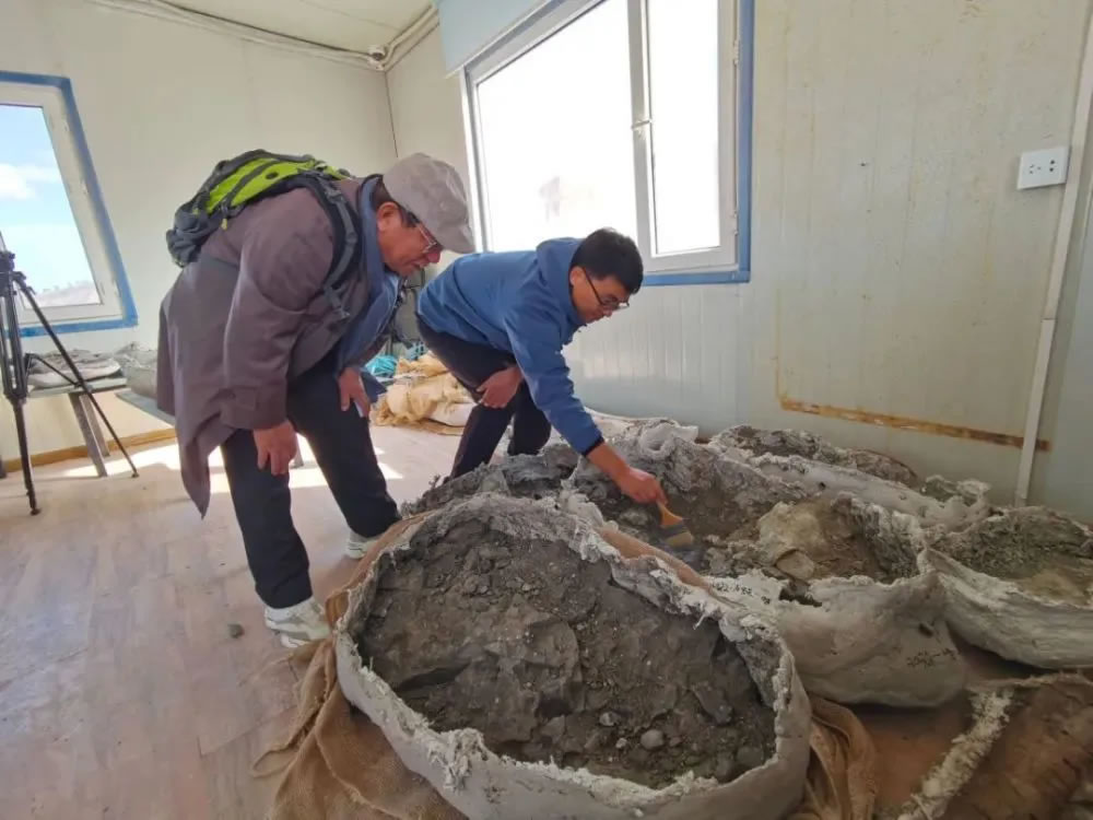 ����ʡ�Ӽ��з����20���������ʯ