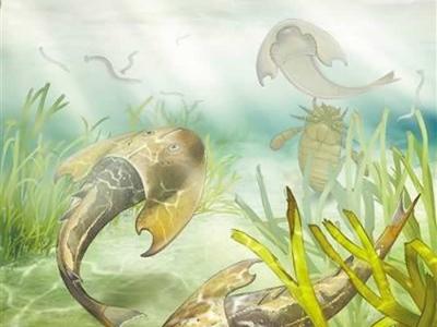 “从鱼到人”是历时5亿多年的演化 新研究揭秘关键环节
