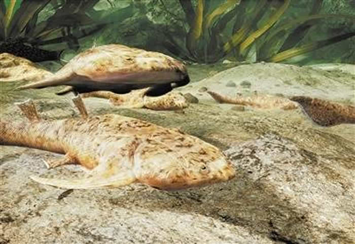 �����㵽�ˡ�����ʱ5�ڶ�����ݻ� ���о����عؼ�����