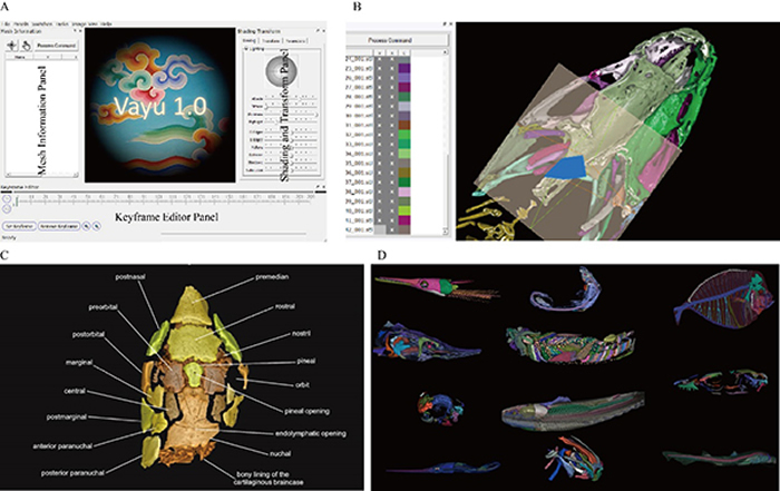 ��ά����ģ�Ϳ��ӻ�����Vayu 1.0����