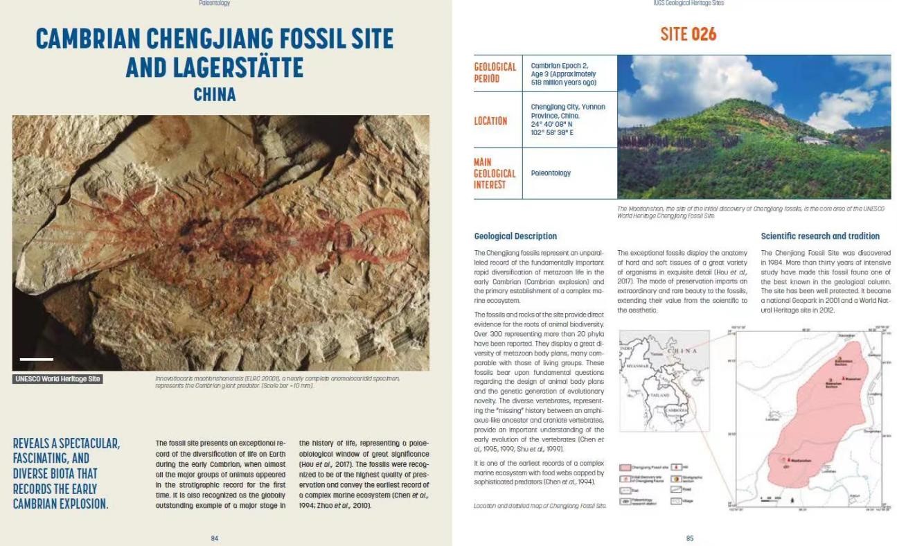 ���ʵ��ʿ�ѧ���ϻṫ��ȫ������100�������Ų��ص�������¼