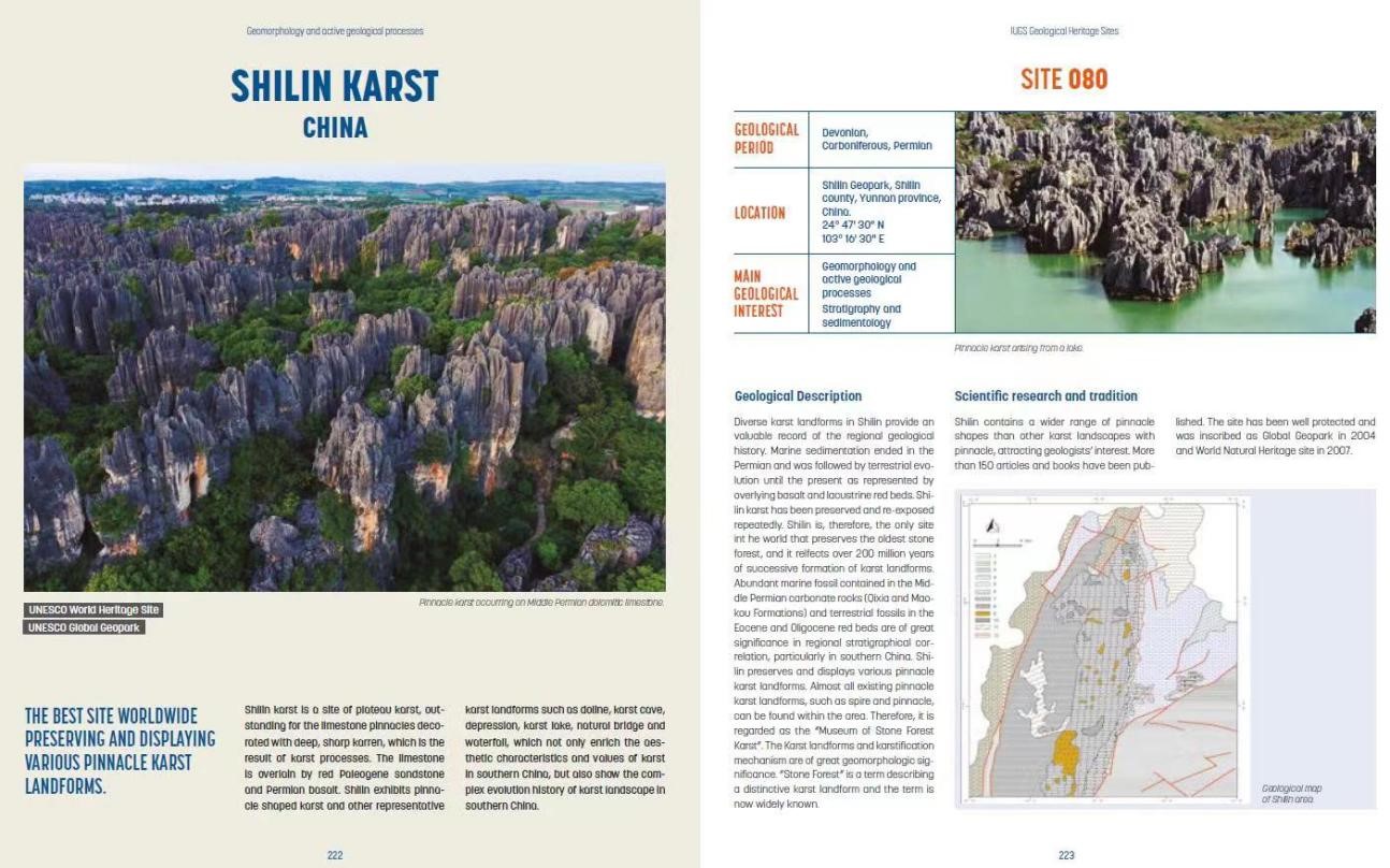 ���ʵ��ʿ�ѧ���ϻṫ��ȫ������100�������Ų��ص�������¼