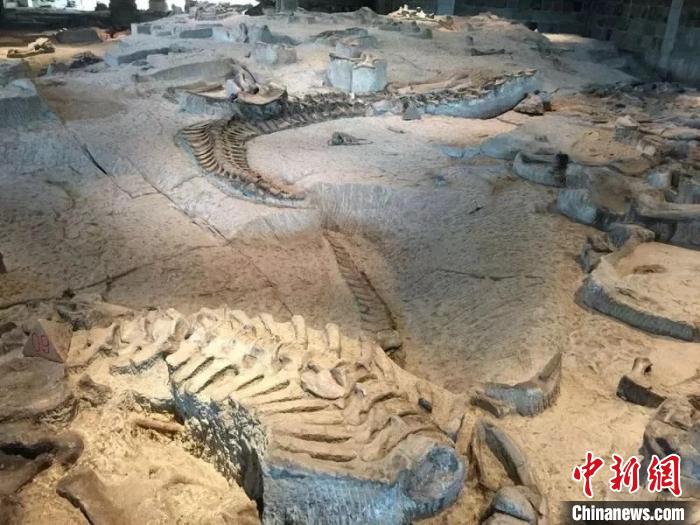 ̨ý����½���Ĵ��Թ�������Խʱ�� �ػ�٪�޼�