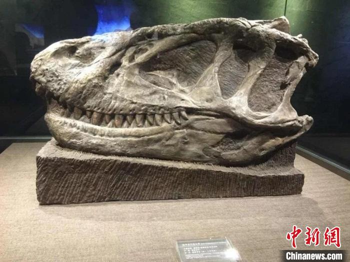 ̨ý����½���Ĵ��Թ�������Խʱ�� �ػ�٪�޼�