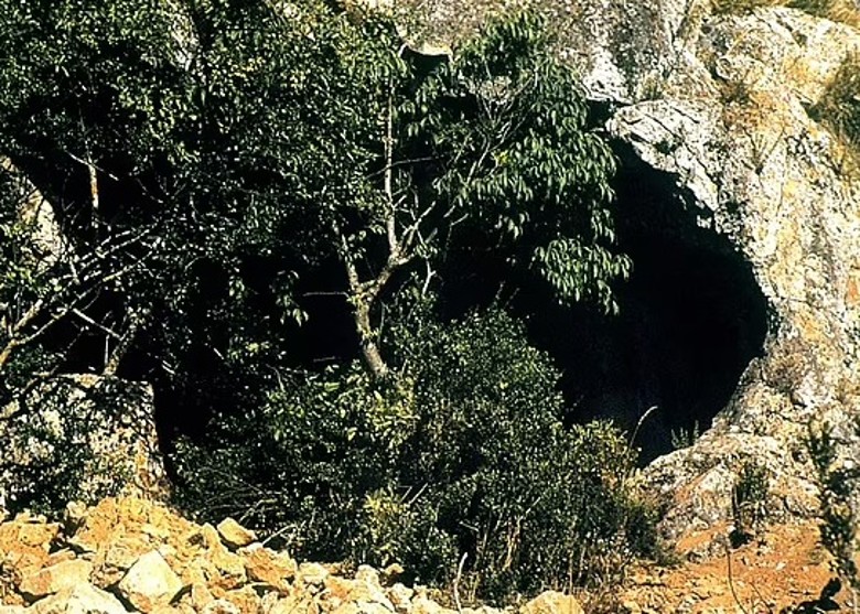 ������������������ᰲ��������Ҫʳ��ά��