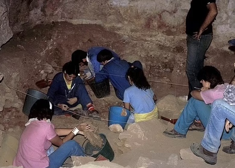 ������������������ᰲ��������Ҫʳ��ά��