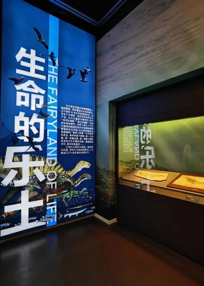 120�����ʯ������������������ò