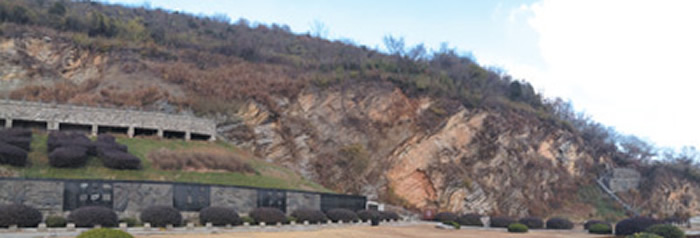 �㽭����úɽ������/���������������롰���ӡ����档�㽭����úɽ�����ӡ����溬�ж���ϵ������ϵ���ߺͳ��˽׵׽����š����ӡ���������¼��2.52����ǰ������