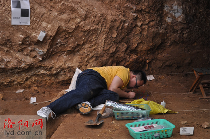 顾雪军：耗时8年发掘20平方米 找到数万年前的人类活动遗迹