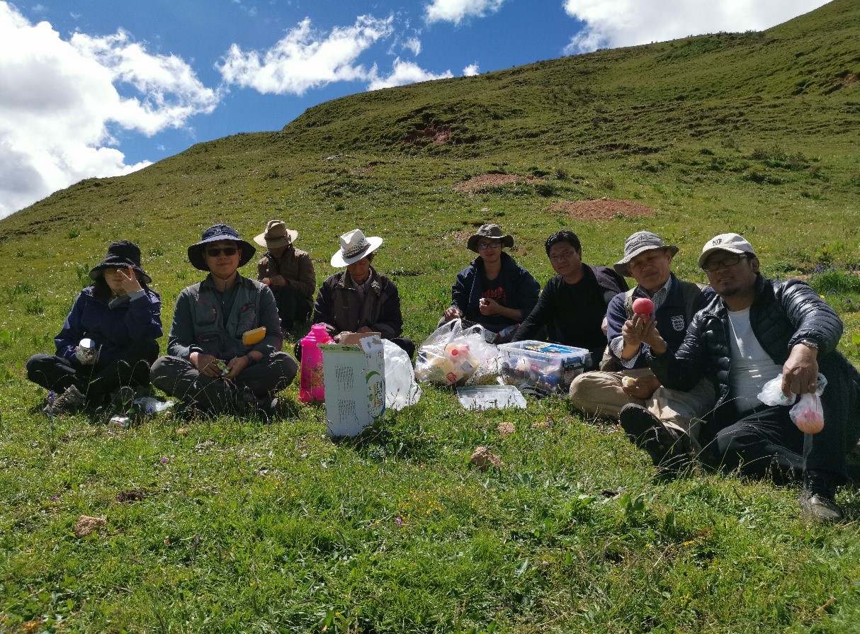 ��ɳĮ��������� ������ظ�ԭ����¡����ʷ