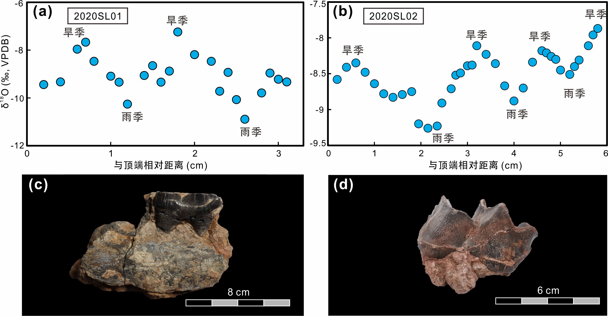 ��ɳĮ��������� ������ظ�ԭ����¡����ʷ